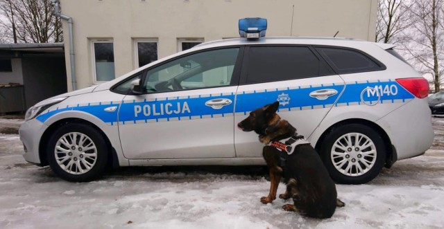 Po otrzymaniu zgłoszenia, dyżurny wysłał na miejsce włamania patrol oraz przewodnika z psem służbowym o imieniu Dym. Czworonożny funkcjonariusz natychmiast podjął trop, który doprowadził mundurowych do mieszkania na osiedlu Dziesięciny.