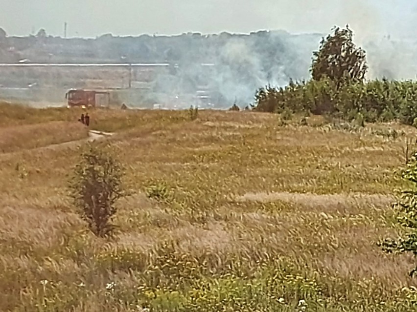 Dym nad Stargardem. Pożar w okolicy osiedla Pyrzyckiego 
