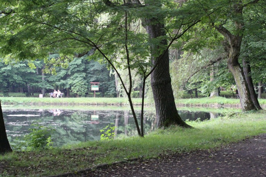 Tak dziś wygląda park Zielona w Dąbrowie Górniczej