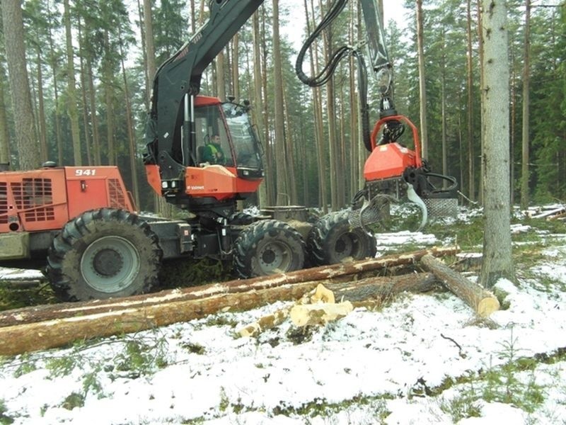 Sosna i świerk to najczęściej kupowane drewno z podlaskich lasów (zdjęcia)