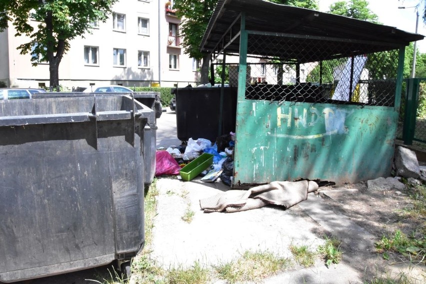 Problem mieszkańców ulicy Zamenhofa w Kielcach. Brudno, śmierdzi i wszędzie pełno śmieci
