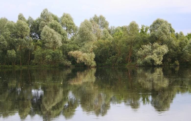 Pojezierza Suwalskie - spływ kajakowy