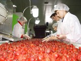 Przetwórstwo warzyw i owoców w Łódzkiem. Branża się rozwija