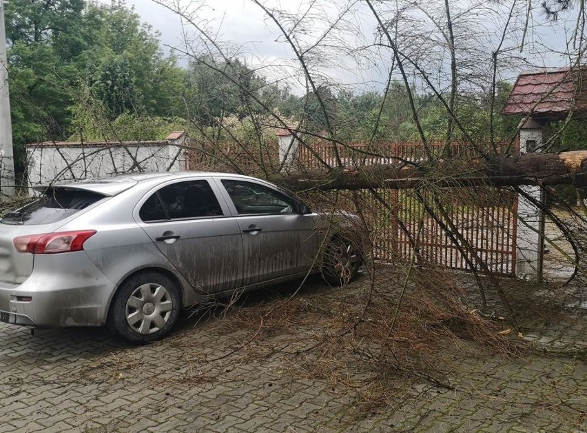 Na os. Krzyszkowice w Wieliczce drzewo przewróciło się na...