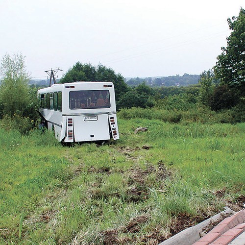 Dopiero krzaki rosnące kilkanaście metrów od drogi zatrzymały autobus, prowadzony przez pijanego kierowcę.