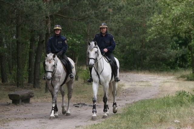 Miejscy strażnicy patrolować będą konno tereny rekreacyjne w Łodzi.