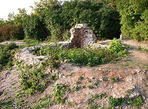 Ruiny zamku w Mielniku