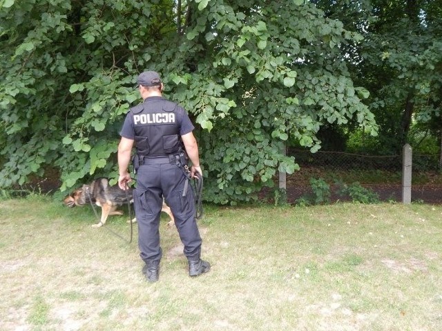 Policjanci z Łańcuta zatrzymali dwóch mężczyzn, którzy początkiem tygodnia włamali się do budynku gospodarczego w Łańcucie. W schwytaniu złodziei pomógł policyjny pies Kodżak.