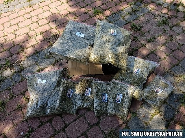 Susz przejęty przez policjantów w powiecie opatowskim