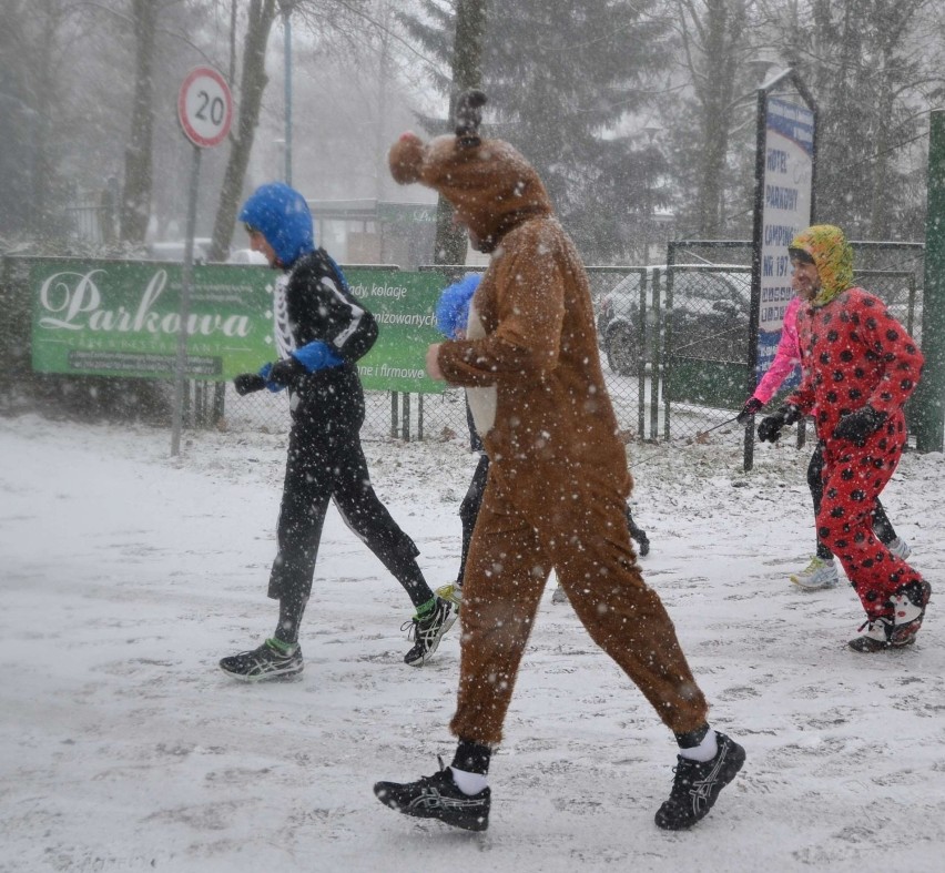 Bieg sylwestrowy 2014 w Malborku. Przebrani biegacze na ulicach miasta [ZDJĘCIA]