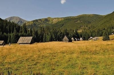 Karol Wojtyła bywał na Polanie Chochołowskiej jeszcze zanim został papieżem. Doliną Jarząbczą wiedzie obecnie Szlak Papieski Fot. Zbigniew Ładygin