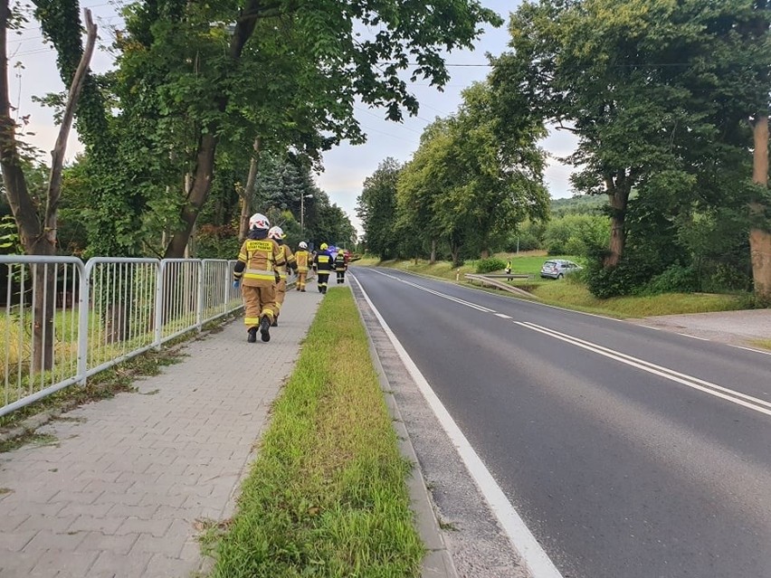 Wypadek w Kochanowie na drodze krajowej nr 79