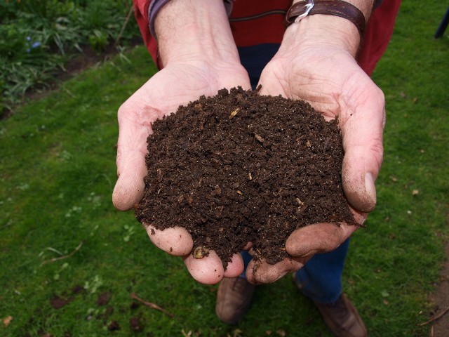 Dojrzały kompost wygląda jak czarna, żyzna ziemia (i ma jej zapach). Jednak na taki efekt trzeba dość długo czekać. Warto sięgnąć po sposoby, które przyspieszą kompostowanie.
