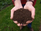 Kompost użyźni ogród, ale trzeba na niego długo czekać. Sprawdź, jak przyspieszyć kompostowanie! Polecamy domowe i skuteczne metody