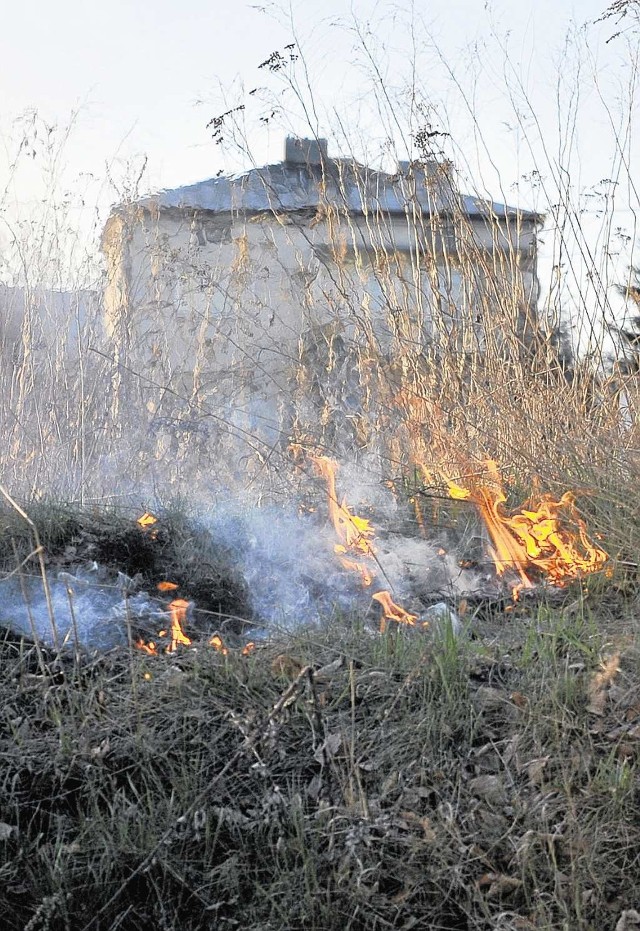 Pożary traw są bardzo groźne