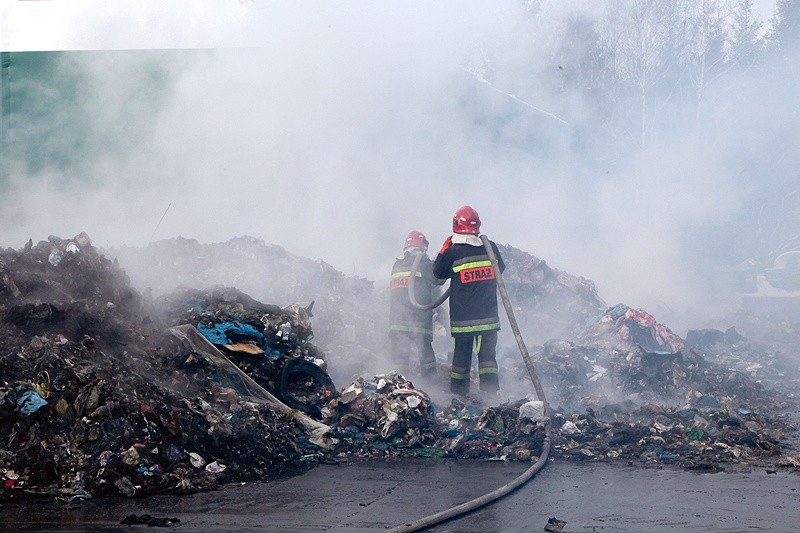 Pracownicy Wojewódzkiego Inspektoratu Ochrony Środowiska w...