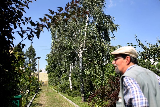 Działkowcy ze Starego Bieżanowa nie wyobrażają sobie, że ich zielone ogrody mają zamienić się w osiedle mieszkaniowe