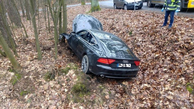 Wypadek audi w Smolarni. Podróżujący samochodem byli pijani.