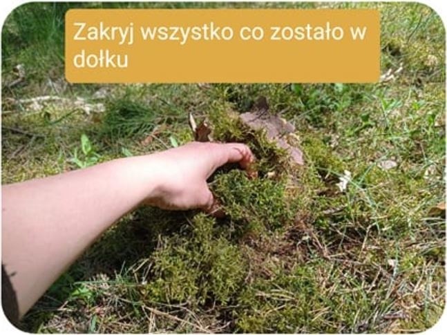 Jak zrobić kupę w lesie? Po prostu ekologicznie. Zobacz...