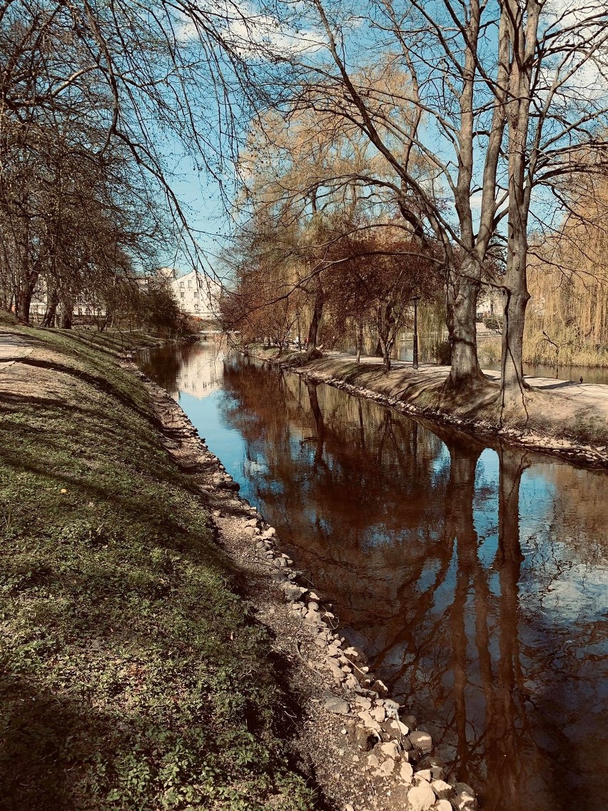 Piękny park w Koszalinie w czasie koronawirusa na zdjęciach Internautki