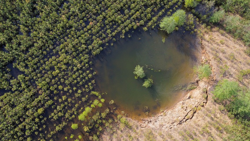 Prawdopodobnie pierwsze zapadlisko w powiecie olkuskim,...