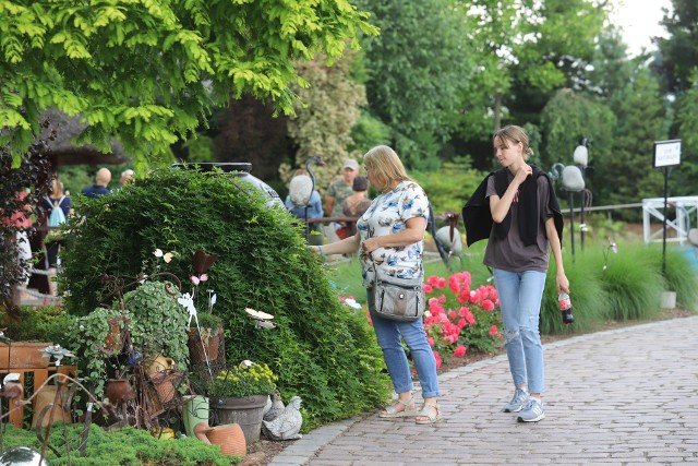 Ogrody rodziny Kapiasów w Goczałkowicach-Zdroju zachwycają o każdej porze roku. Oto ich piękne letnie oblicze