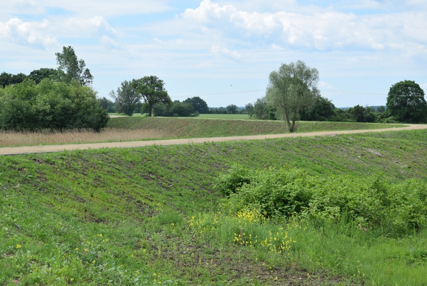 Wał ochroni Kędzierzyn-Koźle i miejscową oczyszczalnię ścieków. Zakończono ważną inwestycję