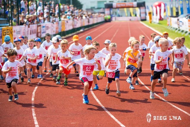 Podczas Biegu Lwa corocznie odbywają się również Biegi Lwiątek, czyli najmłodszych entuzjastów biegania