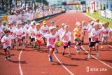 Lekka atletyka: Bieg Lwa będzie w przyszłym roku rozgrywany nocą. Tarnowo Podgórne chce być stolicą polskiego półmaratonu