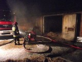 Pożar w Kurowie: W kurniku zginęło 7,5 tysiąca pisklaków