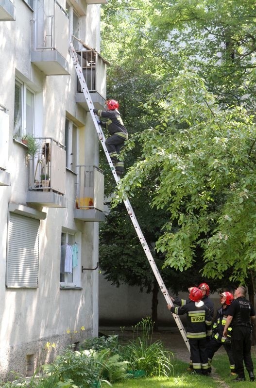 Straż, pogotowie i policja przy Alei Jaworowej. Mieszkańcy martwili się o współlokatorów (ZDJĘCIA)