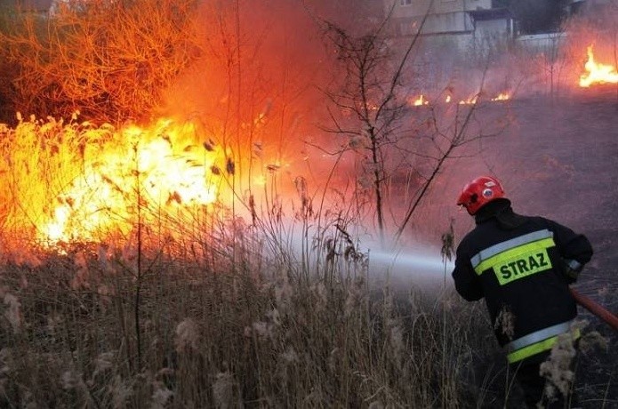 Wysokość płomieni dochodziła do 5 metrów, a w sąsiedztwie...