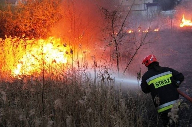 Wysokość płomieni dochodziła do 5 metrów, a w sąsiedztwie znajdowały się zabudowania.