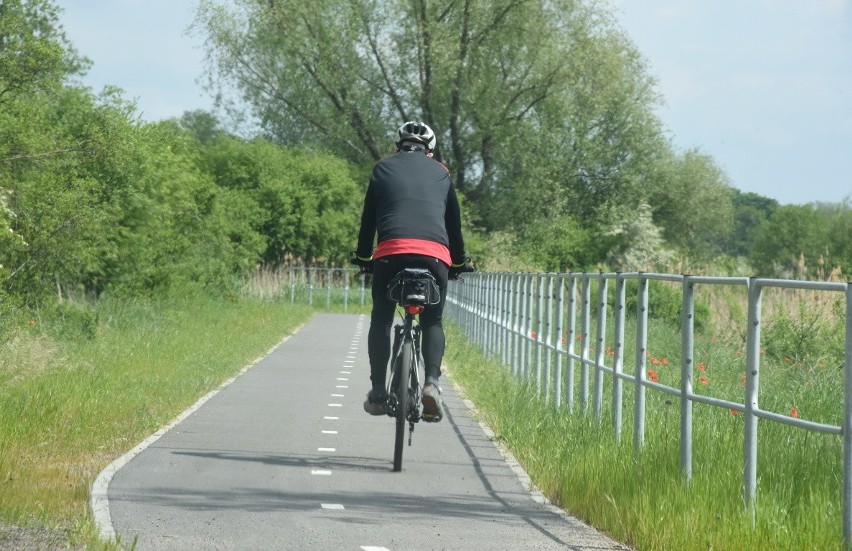 Ścieżka rowerowa Zielona Góra - Zawada - Cigacice, choć nie...