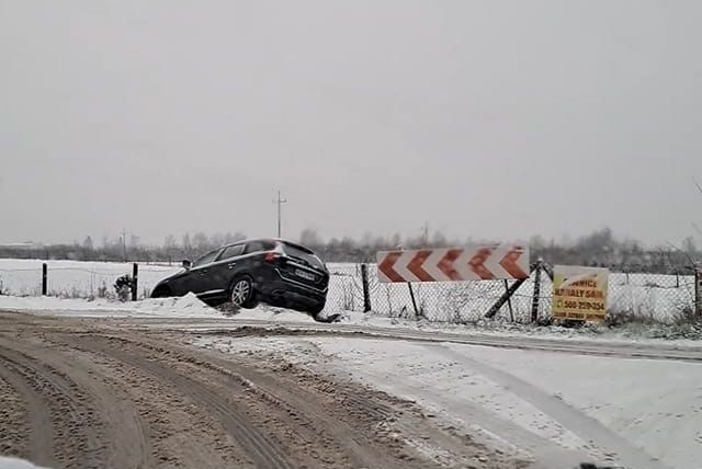 Olszany w kierunku Jasieńca.