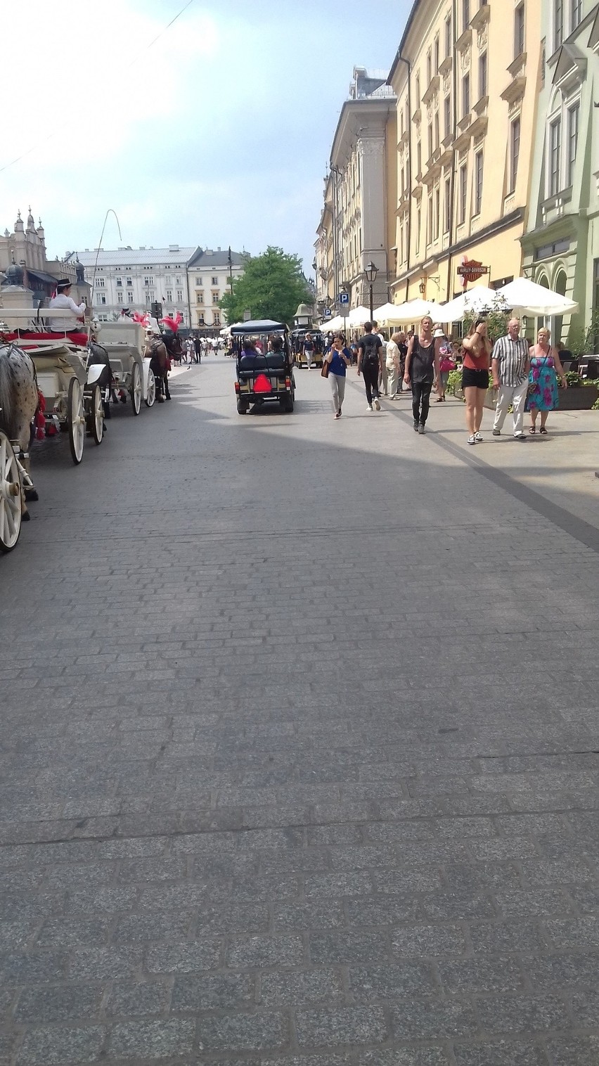 Krakowscy urzędnicy wprowadzili ograniczenia dla meleksów. Popełnili rażące błędy 