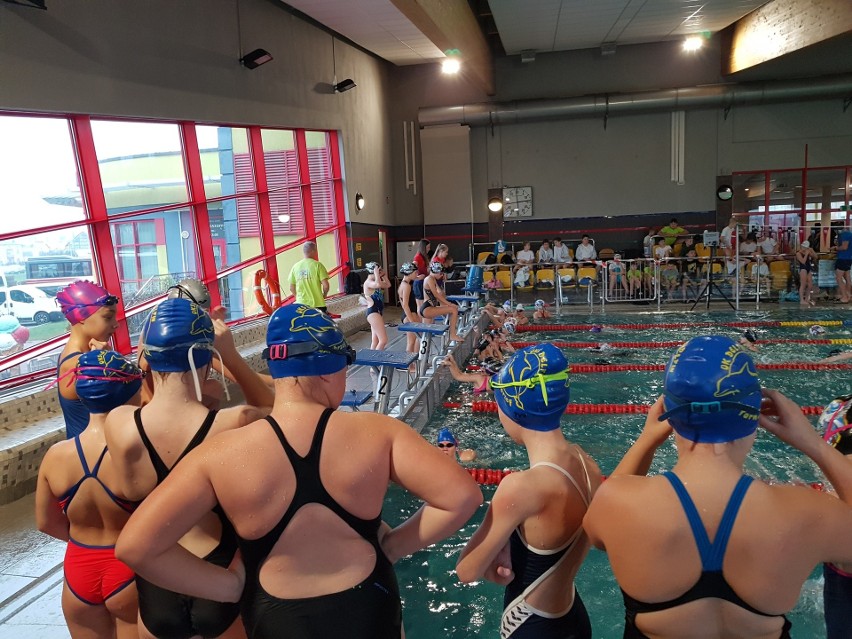Zawodnicy Uczniowskiego Klubu Sportowego Delfin w Tarnobrzegu wygrali Podkarpacką Ligę Pływacką. Ustanowili dwa rekordy okręgu