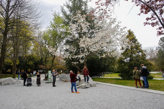 Mieszkanki i mieszkańcy centralnej części województwa skorzystali z dobrej pogody i na majówkę licznie odwiedzili Park Śląski.