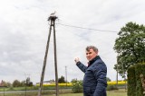 Radość w Górnym Grucznie. Nowi mieszkańcy wiją sobie gniazdo. "A jak plotą gałęzie dziobami, jak warkocze!"