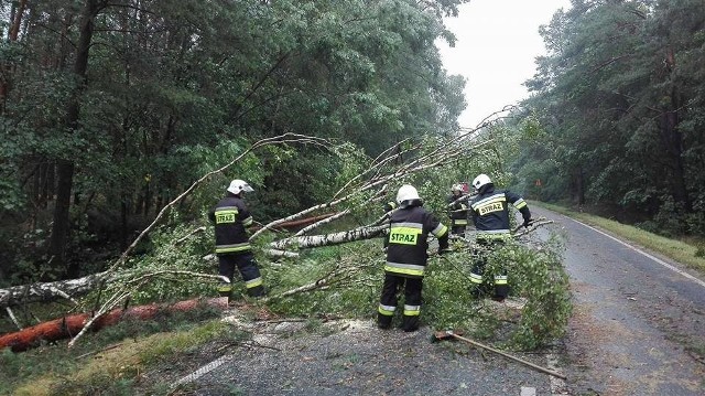 Druhowie z OSP w Kikół podczas interwencji w okolicach Szubina.