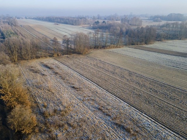 Strefa przemysłowa powstanie na polach i nieużytkach w Chocianowicach, za Portem Łódź. Na razie trwa tam modernizacja ul. Nad Dobrzynką.