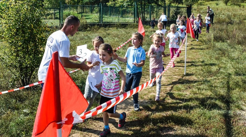 zwolnieniom z wychowania fizycznego biegi dzieciaków...