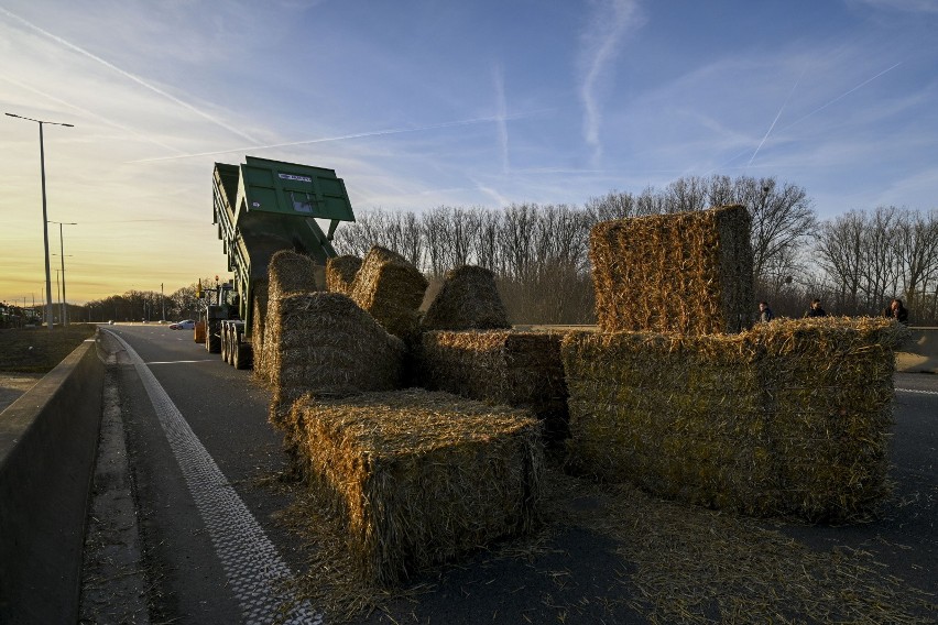 Protesty rolników w Belgii. Farmerzy blokują główne drogi - WIDEO