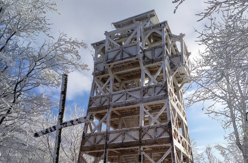 Wieża na Cergowej w Beskidzie Niskim ponownie otwarta dla turystów. Ma dodatkową platformę [ZDJĘCIA]