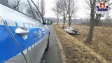 Śmiertelny wypadek pod Koluszkami. Kierowca renault zjechał do rowu i uderzył w drzewo [ZDJĘCIA] 