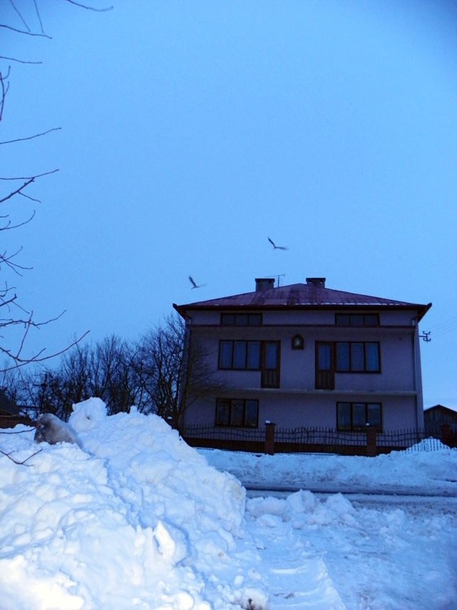 Bociany przyleciały do Nowego KamieniaWczoraj (tj. 18 marca) około godziny 17 zawitały do naszej miejscowości Nowy Kamień (powiat rzeszowski) bociany. To niespotykane zobaczyć bociana kiedy wokół tyle śniegu.
