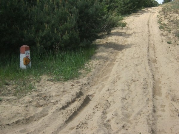 Tak prezentuje się Wiślana Trasa Rowerowa w pobliżu Torunia - ścieżka pełna piasku lub żelbetowe płyty