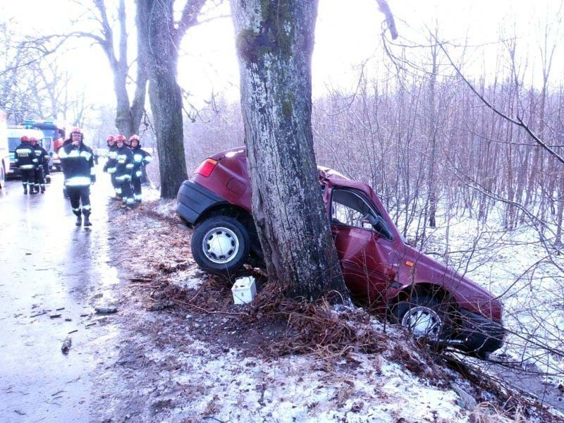 Pogrodzie: Wypadek śmiertelny. Golf uderzył w drzewo (zdjęcia)