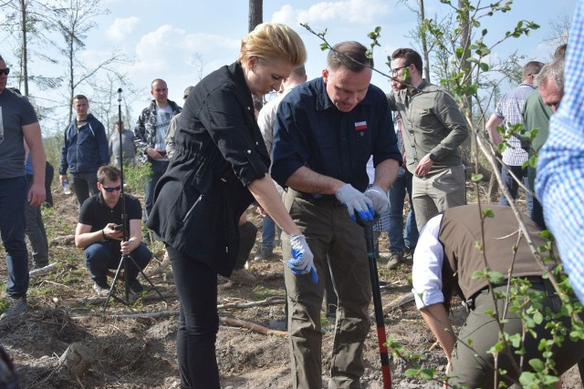Prezydent Andrzej Duda i Agata Kornahauser-Duda  wspólnie posadzili około 100 sadzonek drzew na terenach po nawałnicy