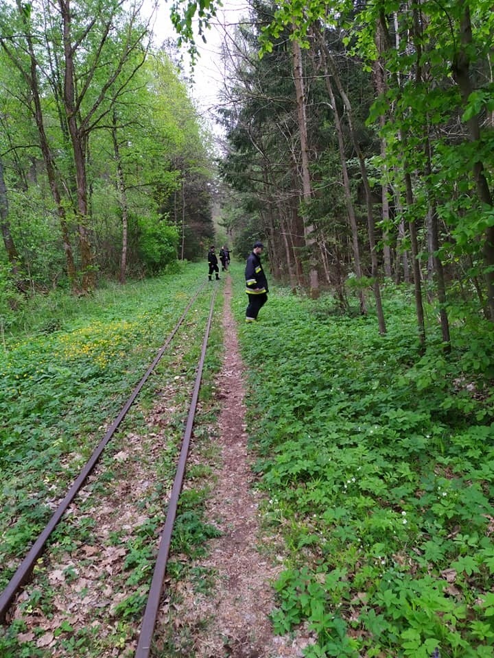 Hajnówka. Poszukiwania zaginionego mężczyzny. W lesie...